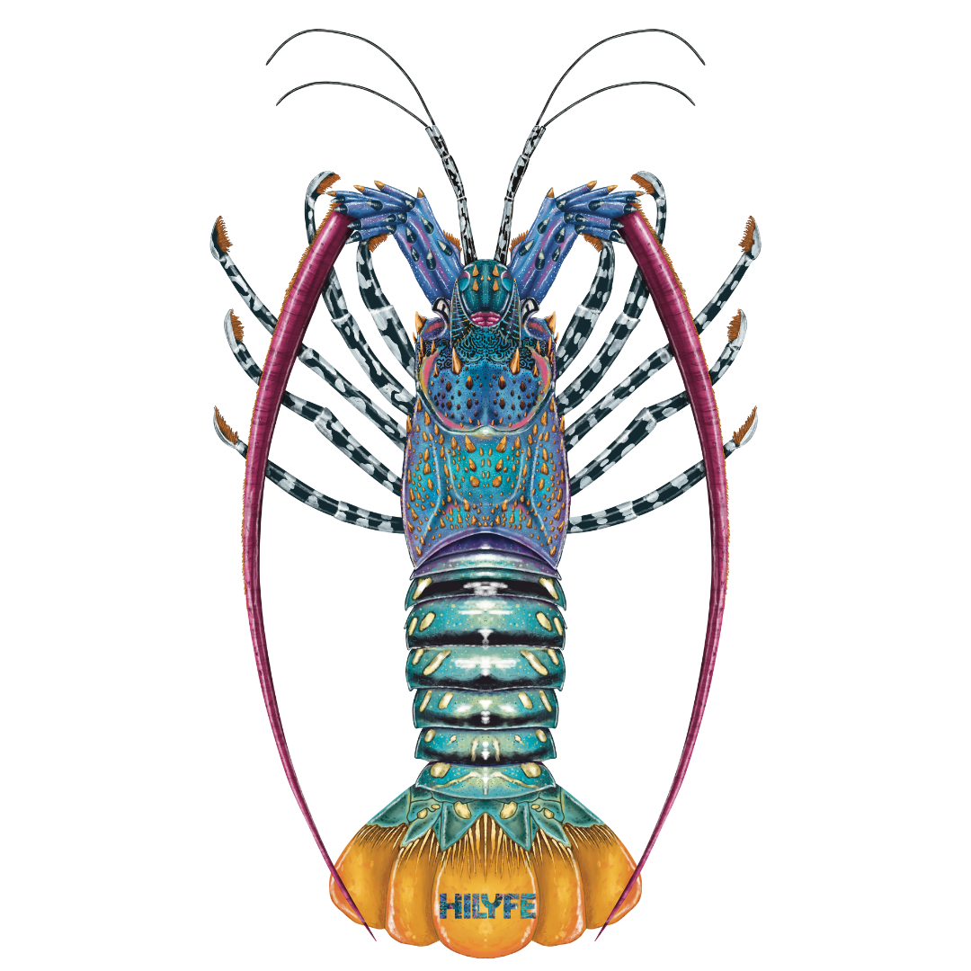 Cray Logo Sticker HILYFE – HILYFE.