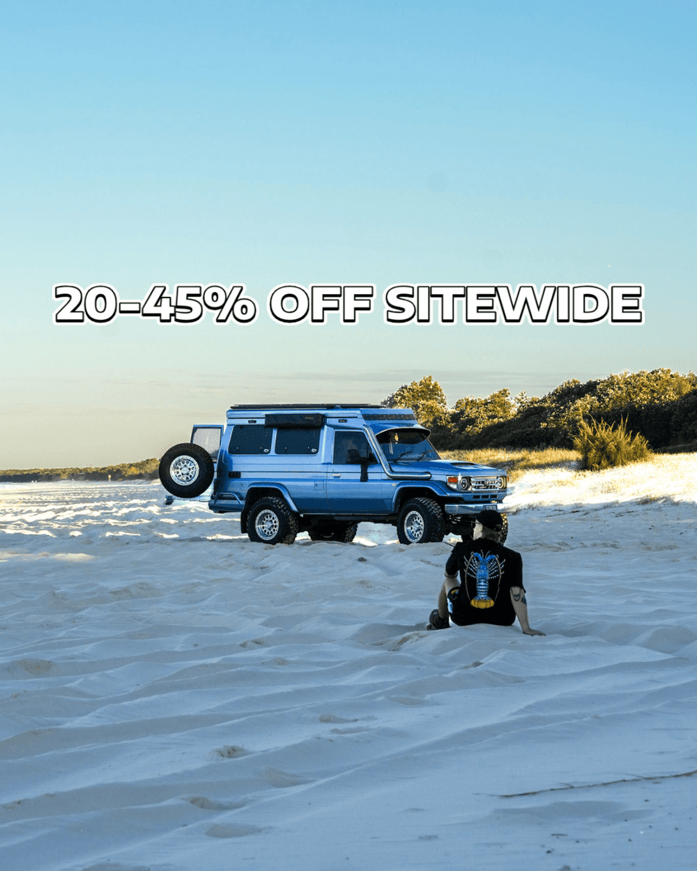 Promotional banner