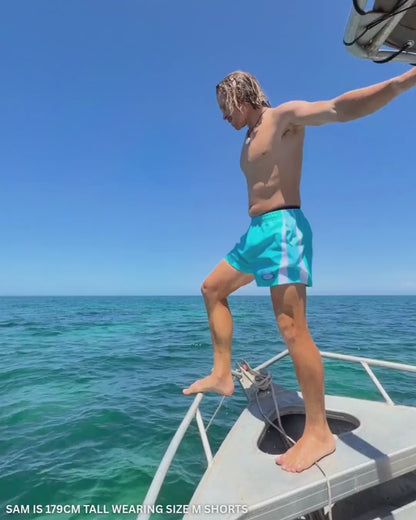 SWELL SHORTS AQUA